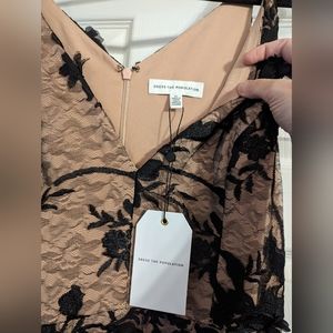 Dress the Population Sidney Sheer Lace Gown